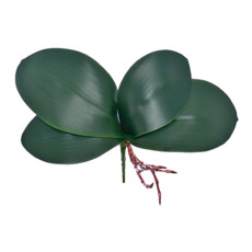 Imagem de FOLHA ORQUIDEA X4 COM RAIZ VERDE 25X17CM - GRILLO 50962 - Grillo Ltda