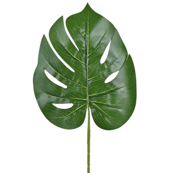 Imagem HASTE DECORATIVA FOLHA COSTELA DE ADÃO VERDE EM PLÁSTICO MOLDÁVEL 63X24CM - GRILLO