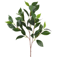Imagem de HASTE DECORATIVA DE FOLHAS DE LOURO VERDE EM PLÁSTICO MOLDÁVEL 62X28 CM - GRILLO - Grillo Ltda