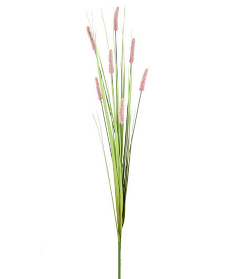 Imagem HASTE CATTAIL X7 ROSA 25X160CM GRILLO 55333