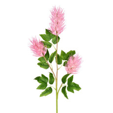 Imagem de HASTE CIRSIUM X3 LILÁS 20X89CM GRILLO 53453 - Grillo Ltda