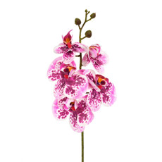 Imagem de HASTE DECORATIVA DE ORQUÍDEA PHALAENOPSIS VINHO EM PLÁSTICO MOLDÁVEL - GRILLO - Grillo Ltda