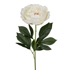 Imagem de HASTE PEONIA CETIM COR CREME 18X66CM - GRILLO 52930 - Grillo Ltda