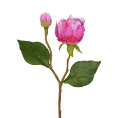 Imagem de HASTE PEONIA REGIA X2 ROSA ESCURO 19X45CM - GRILLO 53417 - Grillo Ltda