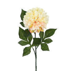 Imagem de HASTE DECORATIVA DE DÁLIA FRANTÔNIO CHAMPAGNE EM PLÁSTICO MOLDÁVEL 75X15 CM - GRILLO - Grillo Ltda