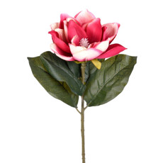 Imagem de HASTE MAGNOLIA ROSA 23X72CM GRILLO 51870 - Grillo Ltda