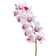 Imagem de HASTE ORQUIDEA CYMBIDIUM X10 BRANCO 12X76CM GRILLO 50280 - Grillo Ltda