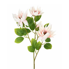 Imagem de HASTE PROTEA X4 ROSA 22X66CM - GRILLO 52771 - Grillo Ltda