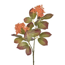 Imagem de HASTE SEDUM  X2 LARANJA 20X70CM GRILLO 51890 - Grillo Ltda