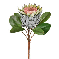 Imagem de HASTE PROTEA VERDE 20X69CM GRILLO 55370 - Grillo Ltda
