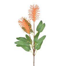 Imagem de HASTE PROTEA X2 LARANJA 67CM GRILLO 55384 - Grillo Ltda