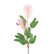 Imagem de HASTE PROTEA X2 ROSA 67CM GRILLO 55384 - Grillo Ltda