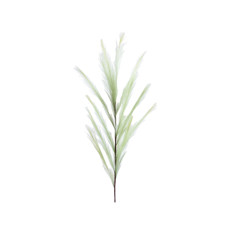 Imagem de HASTE PAMPAS X13 VERDE 31X112CM GRILLO 54634 - Grillo Ltda