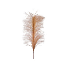 Imagem de HASTE PAMPAS CAFÉ 42X82CM GRILLO 54633 - Grillo Ltda