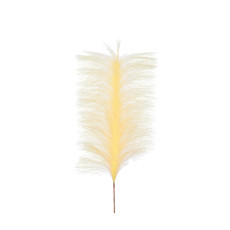 Imagem de HASTE PAMPAS CHAMPAGNE 42X82CM GRILLO 54633 - Grillo Ltda