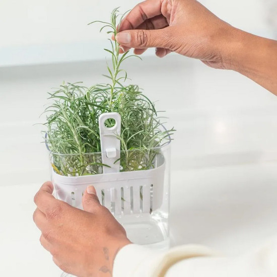 Imagem ORGANIZADOR DE TEMPEROS 1,5L CLEAR FRESH OU 10 X 14,5 X 15CM NATURAL 