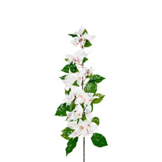 Imagem de HASTE BOUGAINVILLE CREME 19X85CM - GRILLO 55395 - Grillo Ltda