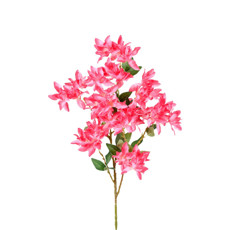 Imagem de HASTE FLOR RAVENA X4 BEAUTY 20X78CM GRILLO 55318 - Grillo Ltda