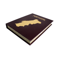 Imagem de LIVRO CAIXA VERMELHO VINHO COM DETALHES DOURADO DECORATIVO 5X36X27 CM - Mabruk Importacao E Comercio Eireli