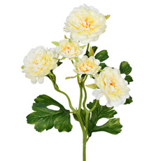 Imagem de HASTE PERMAMENTE DECORATIVA DE CAMÉLIA CHAMPAGNE EM PLÁSTICO MOLDÁVEL 50X10 CM - Grillo Ltda