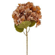 Imagem de HASTE PERMAMENTE DECORATIVA DE HORTÊNCIA MARROM EM PLÁSTICO MOLDÁVEL 60X10 CM - Grillo Ltda