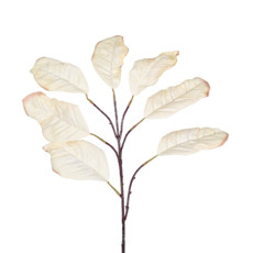 Imagem de HASTE DE FOLHAS PERMANENTES MAGNÓLIA EM PLÁSTICO MOLDÁVEL BEGE 80X17 CM - GRILLO - Grillo Ltda