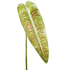 Imagem de HASTE PERMANENTE DE FOLHA ALONGADA VERDE OUTONO EM PLÁSTICO 87X69 CM - GRILLO - Grillo Ltda
