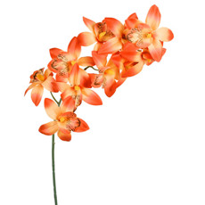 Imagem de HASTE PERMANENTE DE CYNBIDIUM LARANJA EM PLÁSTICO MOLDÁVEL 71X13 CM - GRILLO - Grillo Ltda