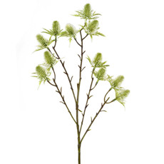 Imagem de HASTE DE BOTÕES SILVESTRE VERDE E CREME DECORATIVO EM PLÁSTICO MOLDÁVEL 65X15CM GRILLO - Grillo Ltda