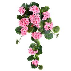 Imagem de BUQUÊ PENDENTE DE GERÂNIO ROSA PERMANENTE EM PLÁSTICO 65X37 CM - GRILLO - Grillo Ltda