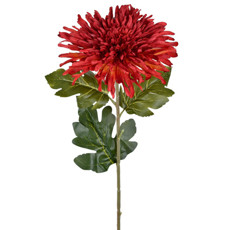 Imagem de HASTE PERMANENTE DE CRISÂNTEMO AGULHA VERMELHO EM PLÁSTICO E CETIM 75X19 CM - GRILLO - Grillo Ltda