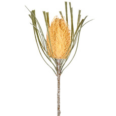 Imagem de HASTE PERMANENTE DE PROTEA DO CAMPO BEGE EM PLÁSTICO MOLDÁVEL 65X14 CM - GRILLO - Grillo Ltda