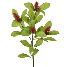 Imagem de HASTE DE SEMENTES SILVESTRES VERMELHAS COM FOLHAS VERDES EM PLÁSTICO 69X17 CM - GRILLO - Grillo Ltda