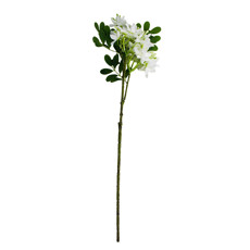Imagem de HASTE DE FLORES BRANCAS PERMANENTES COM FOLHAGEM VERDE EM PLÁSTICO 60X5 CM  - Grillo Ltda