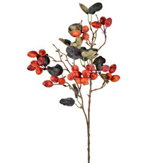 Imagem de HASTE DECORATIVA DE FRUTAS SILVESTRES LARANJA EM PLÁSTICO MOLDÁVEL 84X20 CM - GRILLO - Grillo Ltda