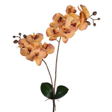 Imagem de HASTE DECORATIVA DE ORQUÍDEA AMARELA COM FOLHAS E RAIZ EM PLÁSTICO MOLDÁVEL - GRILLO - Grillo Ltda