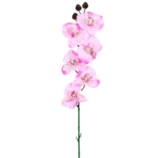 Imagem de HASTE DECORATIVA DE ORQUÍDEA PHALAENOPSIS ROSA EM PLÁSTICO MOLDÁVEL - GRILLO - Grillo Ltda
