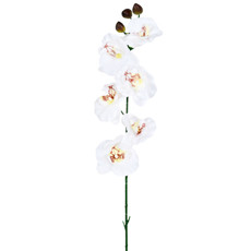 Imagem de HASTE DECORATIVA DE ORQUÍDEA PHALAENOPSIS BRANCA EM PLÁSTICO MOLDÁVEL - GRILLO - Grillo Ltda
