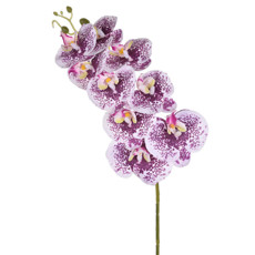Imagem de HASTE DECORATIVA DE ORQUÍDEA LAVANDA EM PLÁSTICO MOLDÁVEL 78X17 CM - GRILLO - Grillo Ltda