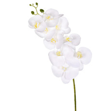 Imagem de HASTE DECORATIVA DE ORQUÍDEA BRANCA EM PLÁSTICO MOLDÁVEL 78X17 CM - GRILLO - Grillo Ltda