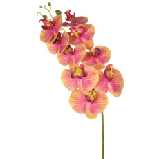 Imagem de HASTE DECORATIVA DE ORQUÍDEA ROSA EM PLÁSTICO MOLDÁVEL 78X17 CM - GRILLO - Grillo Ltda