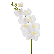 Imagem de HASTE DECORATIVA DE ORQUÍDEA SILICONE BRANCA EM PLÁSTICO MOLDÁVEL 105X17 CM - GRILLO - Grillo Ltda