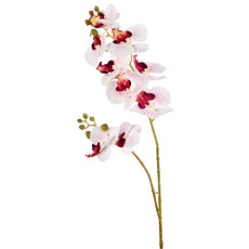 Imagem de HASTE DECORATIVA DE ORQUÍDEA PHALAENOPSIS BRANCA TOQUE REAL EM PLÁSTICO - GRILLO - Grillo Ltda