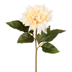 Imagem de HASTE DECORATIVA DE DÁLIA BEGE OUTONADA EM PLÁSTICO MOLDÁVEL 60X20 CM - GRILLO - Grillo Ltda