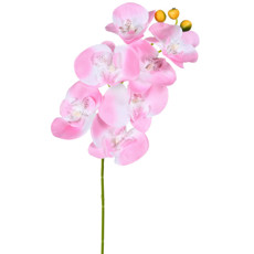 Imagem de HASTE DECORATIVA DE ORQUÍDEA PHALAENOPSIS ROSA EM PLÁSTICO MOLDÁVEL 66X9CM - GRILLO - Grillo Ltda