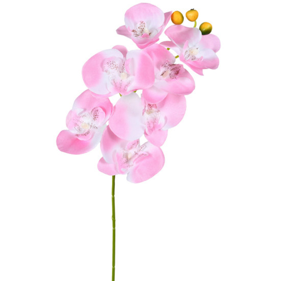 Imagem HASTE DECORATIVA DE ORQUÍDEA PHALAENOPSIS ROSA EM PLÁSTICO MOLDÁVEL 66X9CM - GRILLO