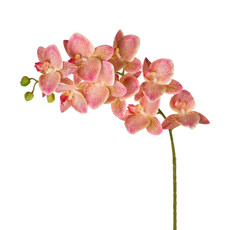 Imagem de HASTE DECORATIVA DE ORQUÍDEA VERDE ROSA EM PLÁSTICO MOLDÁVEL 78X14CM - GRILLO - Grillo Ltda