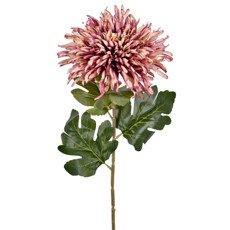 Imagem de HASTE DECORATIVA DE CRISÂNTEMO AGULHA CAFÉ EM PLÁSTICO MOLDÁVEL 75X19CM - GRILLO - Grillo Ltda