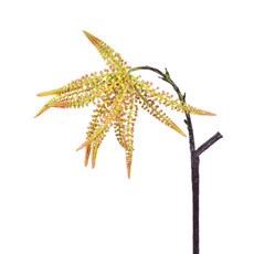 Imagem de HASTE DECORATIVA DE GALHO DE TRIGO VERDE CLARO EM PLÁSTICO MOLDÁVEL 96X13CM - GRILLO - Grillo Ltda