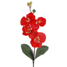 Imagem de HASTE DECORATIVA PERMANENTE DE ORQUÍDEA VERMELHA EM PLÁSTICO MOLDÁVEL - GRILLO - Grillo Ltda